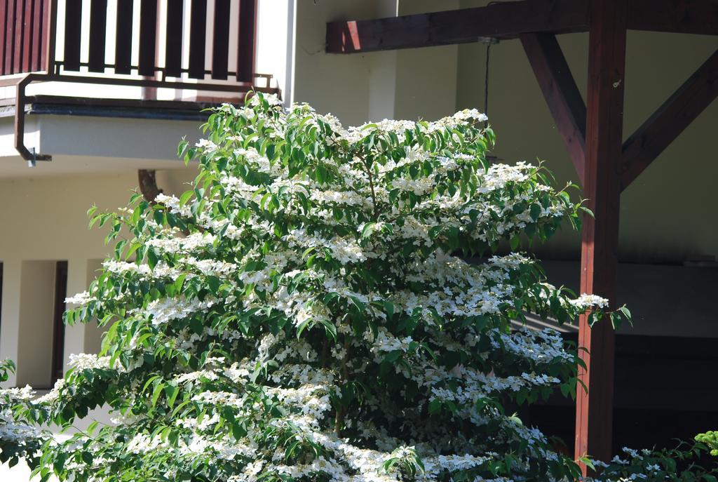 Ivanek Guest House Zvíkovské Podhradí Exteriör bild