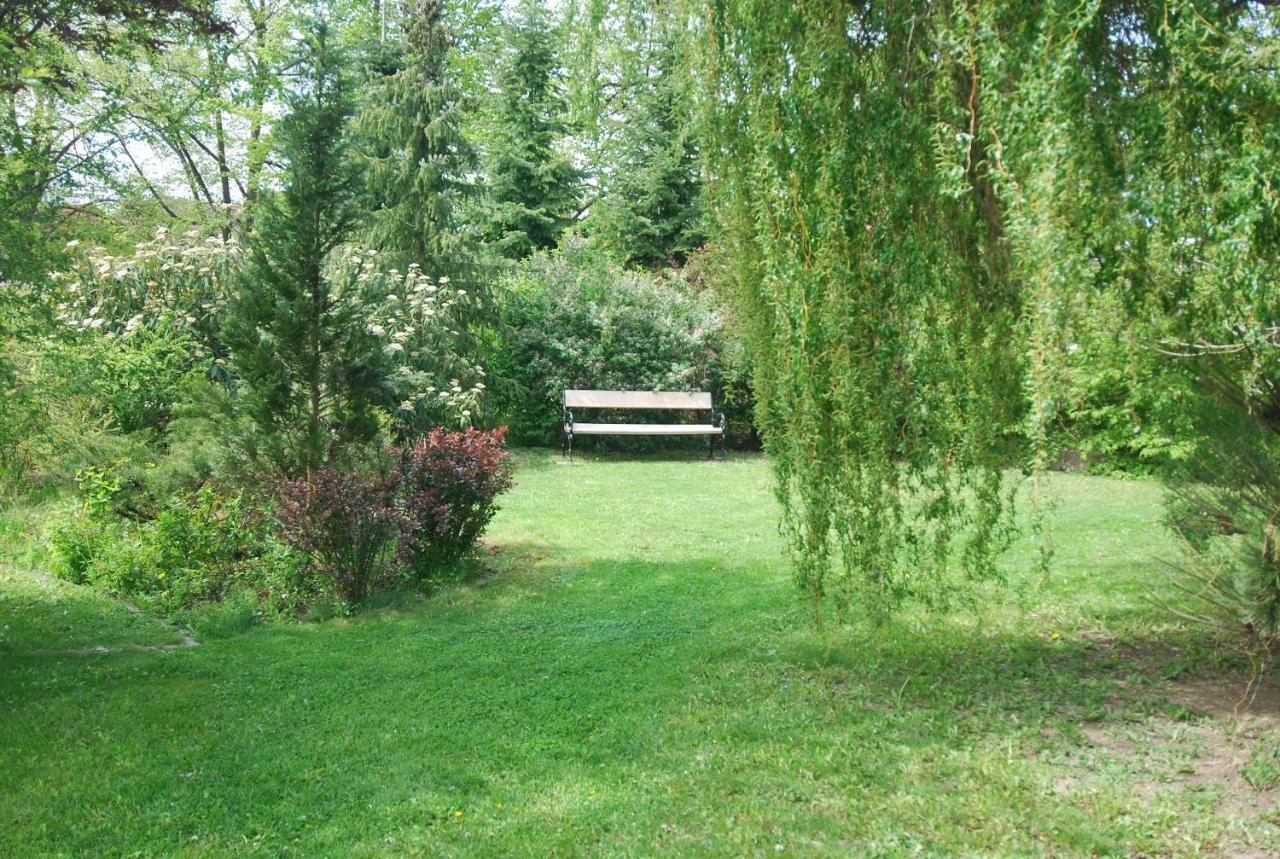 Ivanek Guest House Zvíkovské Podhradí Exteriör bild